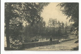 Mayenne , Fougerolle Du Plessis , Etang De Goué - Sonstige & Ohne Zuordnung