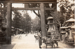 Photographie Photo Vintage Snapshot Japon Japan Nara ? - Orte