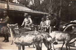 Photographie Photo Vintage Snapshot Japon Japan Nara  - Luoghi