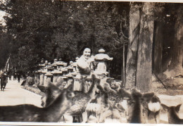 Photographie Photo Vintage Snapshot Japon Japan Nara  - Luoghi