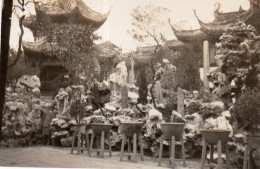 Photographie Photo Vintage Snapshot Chine China ShangaÏ ? - Orte