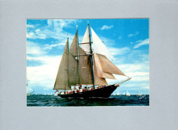 Voilier - Sailing Vessels