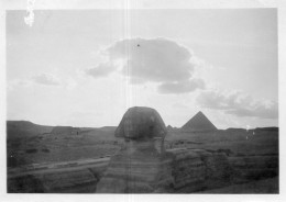 Photographie Photo Vintage Snapshot Afrique Egypte Pyramide Sphynx - Afrika