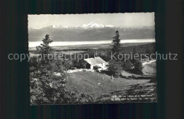 11644366 Vaulion Panorama Lac Leman Mont Blanc Vu De La Dent Du Vaulion Restaura - Altri & Non Classificati