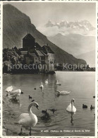 11644333 Chillon Chateau Et Dents Du Midi Schwaene Montreux - Sonstige & Ohne Zuordnung