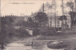 BRIENON                 LE  MOULIN  DU BOUTOIR - Brienon Sur Armancon