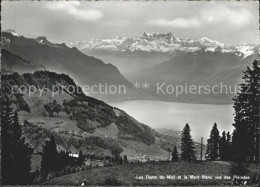 11644279 Les Pleiades Panorama Lac Leman Dents Du Midi Et Le Mont Blanc Les Plei - Autres & Non Classés