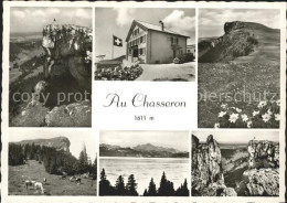 11644274 Yverdon-les-Bains Au Chasseron Hotel Lac Et Les Alpes Fleurs Vaches Yve - Andere & Zonder Classificatie