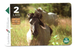 Cheval Horse Animal  Télécarte Lettonie Telefonkarte Phonecard (K 353) - Lettonia