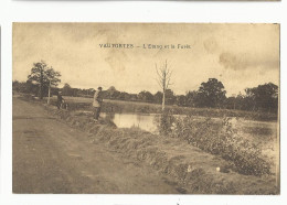 Mayenne , Vautortes , L'étang Et La Forêt - Sonstige & Ohne Zuordnung