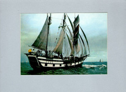 Voilier - Sailing Vessels