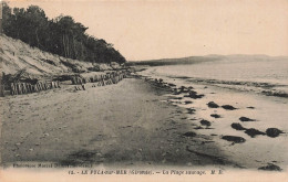 FRANCE - Le Pyla Sur Mer - La Plage Sauvage - Carte Postale Ancienne - Sonstige & Ohne Zuordnung