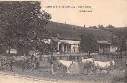 P-24-Mi-Is-1294 : ABBAYE DE NOTRE-DAME-DE-SAINT-LIEU. SEPT-FONS. L'ABREUVOIR.  VACHES - Autres & Non Classés