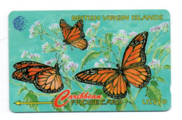 Papillon Butterfly  Caribbean Card Télécarte Islande Phonecard (K 355) - IJsland