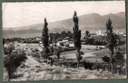 ALGERIE - AIN-SEFRA - Un Coin Du Ksar Et Ses Jardins - Scenes