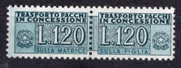 Y6270 - ITALIA PACCHI CONCESSIONE Ss N°14 - ITALIE COLIS Yv N°99 ** - Colis-concession