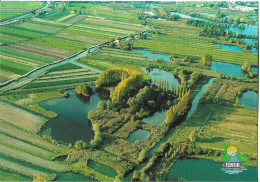 MARAIS AUDOMAROIS - Vue Aérienne - Otros & Sin Clasificación