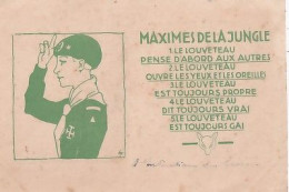 MAXIMES DE LA JUNGLE        LE LOUVETEAU....... - Scoutisme