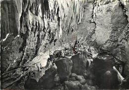 37 - Savonnières - Les Caves Gouttières - Les Objets à Pétrifier Sous La Grande Source - Mention Photographie Véritable  - Autres & Non Classés