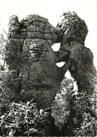 07 - Bois De Paiolive - Dans Ce Chaos De Roches Et De Végétation, Le Lion Et L'Ours, Forces Dressées Par La Nature - Men - Altri & Non Classificati