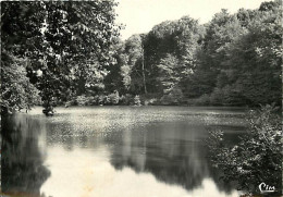 50 - Saint Pierre De Semilly - L'Etang - CPSM Grand Format - Etat Léger Pli Visible - Voir Scans Recto-Verso - Otros & Sin Clasificación