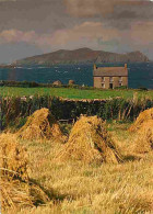 Irlande - Kerry - Inishtooskert , One Of The Blasket Islands Seen Here From The Coast Near Dunquinn - Foin - Paille - Ir - Kerry