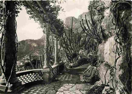 Monaco - Le Jardin Exotique - CPM - Voir Scans Recto-Verso - Jardin Exotique