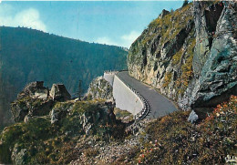 88 - Vosges - La Schlucht - La Route De Munster - Carte Neuve - CPM - Voir Scans Recto-Verso - Sonstige & Ohne Zuordnung