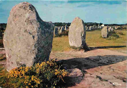 56 - Carnac - Les Alignements Mégalithiques Du Ménec - Carte Neuve - CPM - Voir Scans Recto-Verso - Carnac