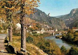 48 - Les Vignes - Vue Générale - Au Fond La Roche Aiguille - Carte Neuve - CPM - Voir Scans Recto-Verso - Other & Unclassified