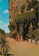34 - Saint-Bauzille-de-Putois - La Grotte Des Demoiselles - L'entrée De La Grotte - Flamme Postale De Ganges - CPM - Voi - Sonstige & Ohne Zuordnung