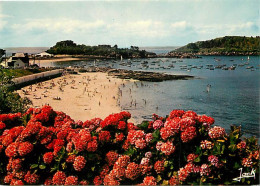 22 - Trébeurden - La Plage De Pors-Termen - Fleurs - Scènes De Plage - CPM - Voir Scans Recto-Verso - Trébeurden