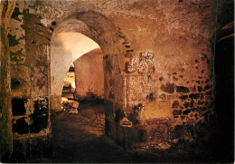 19 - Uzerche - Crypte De L'Abbatiale - Carte Neuve - CPM - Voir Scans Recto-Verso - Uzerche