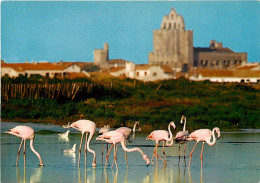 Oiseaux - Flamants Roses - Camargue - Flamingos - CPM - Voir Scans Recto-Verso - Vögel