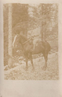 CARTE PHOTO MILITAIRE ITALIEN A CHEVAL EN FORETE INTALIENNE VOIR VERSO - A Identifier