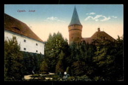 POLOGNE - OPPELN - OPOLE - SCHLOSS - CARTE COLORISEE - Poland