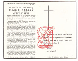 DP MArie Verleé ° Waasmunster 1886 † Belsele Sint-Niklaas 1955 X Petrus Brys - Imágenes Religiosas