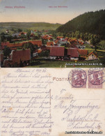 Ansichtskarte Altenau-Clausthal-Zellerfeld Blick Vom Mühlenberg 1920  - Altenau