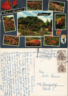 Ansichtskarte Berlin Stadtteilansicht Rosen-Garten Am Humboldthain 1967 - Other & Unclassified