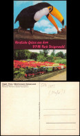 Ansichtskarte Geiselwind Vogel Pony Märchenpark Steigerwald 1970 - Sonstige & Ohne Zuordnung