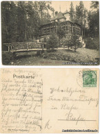 Ansichtskarte Bad Elster Waldcafe 1909  - Bad Elster