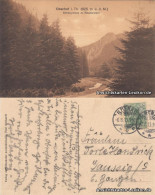 Ansichtskarte Oberhof (Thüringen) Silbergraben Und Räuberstein 1913  - Oberhof