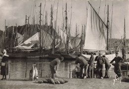 CONCARNEAU : THONIERS AU PORT - Concarneau