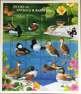 Antigua 1995 Ducks Birds Large Sheetlet MNH - Sonstige & Ohne Zuordnung