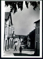 OLIVEIRA DO HOSPITAL- SEIXO DA BEIRA- Uma Rua.  ( Ed. Mimosa) Carte Postale - Coimbra