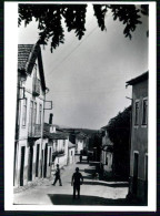 OLIVEIRA DO HOSPITAL- SEIXO DA BEIRA  - Uma Rua. -  Carte Postale - Coimbra