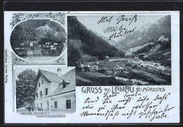 AK Neuberg An Der Mürz, Lanau Bei Mürzsteg, Gasthaus Gregor Huber Mit Garten, Gesamtansicht  - Altri & Non Classificati