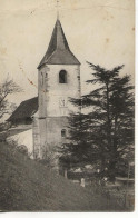 54 - Amance - L'Eglise Et Le Cèdre Centenaire - ** CPA  ** - Sonstige & Ohne Zuordnung