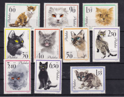 Timbres   Pologne Polska Neufs ** Sans Charnières Chats - Other & Unclassified