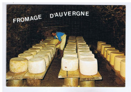 FROMAGE D'AUVERGNE - Cave à Fromage Où Sont Affinés Les " Fourmes " - Photo Editions BOS - N° 271 - Auvergne